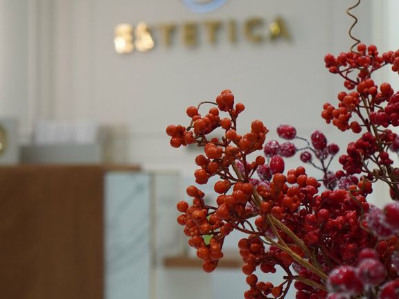 N Estetica, интерьер