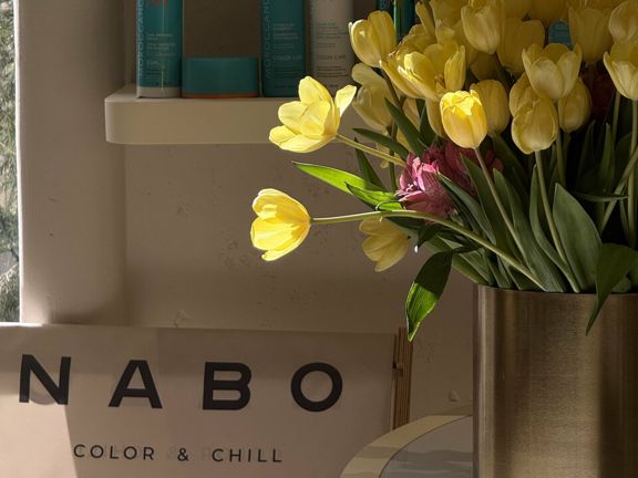 Nabo, интерьер
