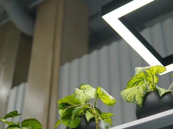 Naturel Studio, интерьер