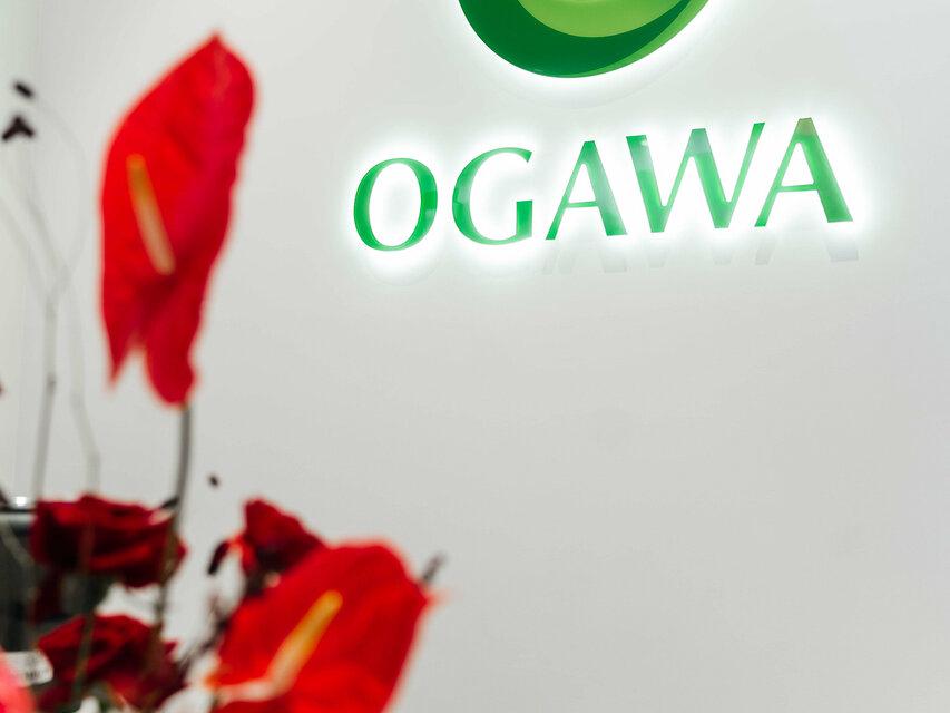 Ogawa, интерьер