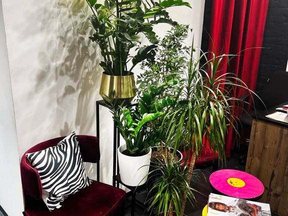On Hair Salon, интерьер