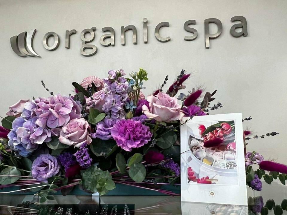 Organic SPA, интерьер