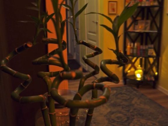 Пещера Рыб Thai Spa Club, интерьер