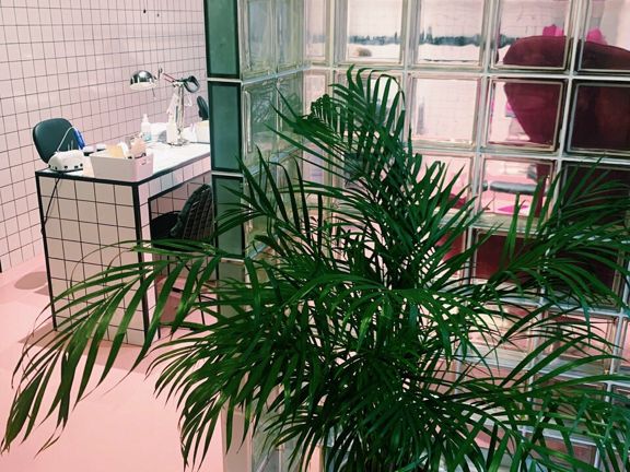 Pink, интерьер