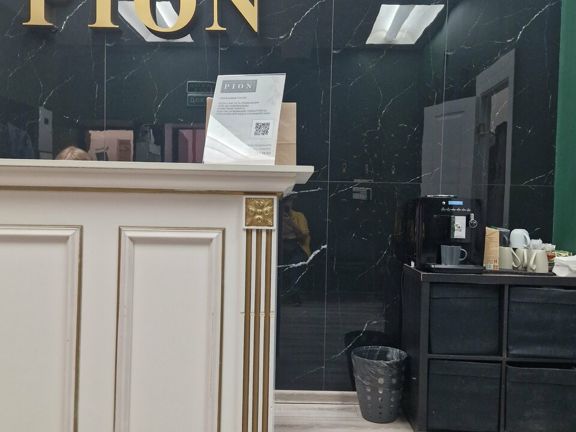 Pion, интерьер