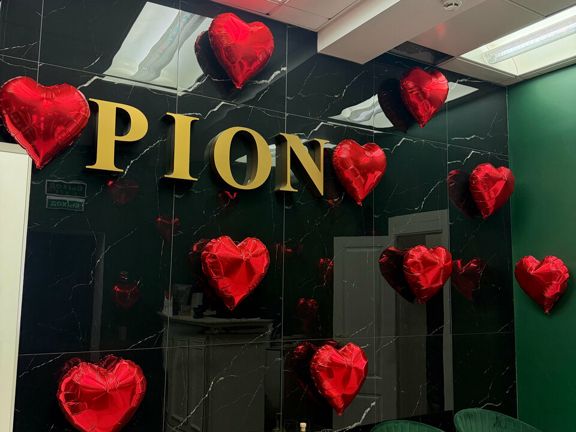 Pion, интерьер