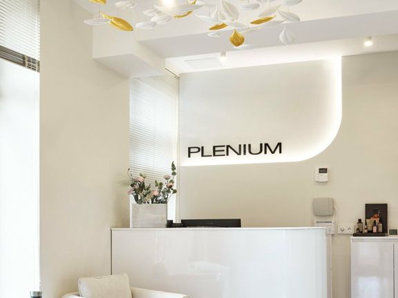 Plenium, интерьер