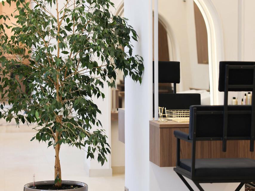 Plum, интерьер