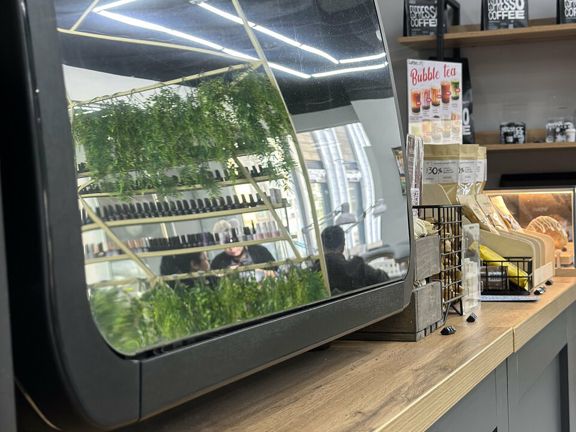 PR Nail Bar, интерьер