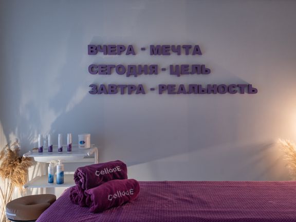 Pro Body & Face, интерьер