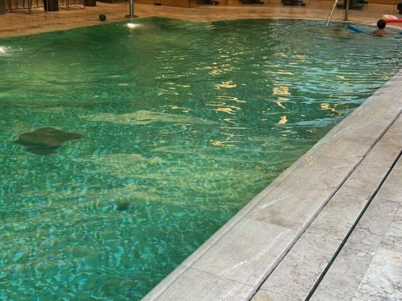 Purovel SPA, интерьер