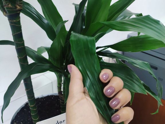 RMnails, интерьер
