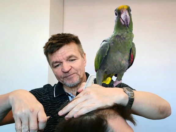 Романов, интерьер