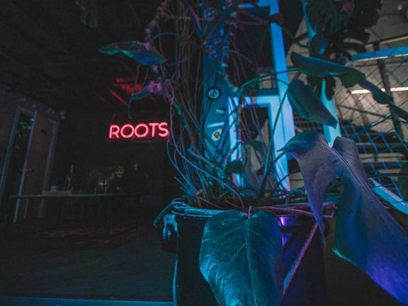 Roots men's cut, интерьер