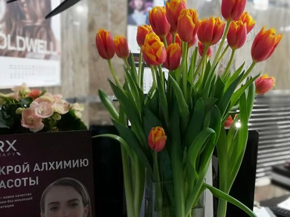 Рози, интерьер