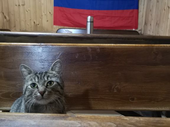 Русская банька на дровах, интерьер