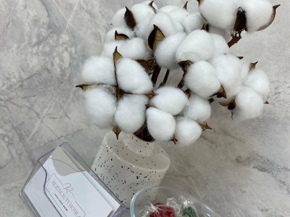 Ruzi Beauty Home, интерьер