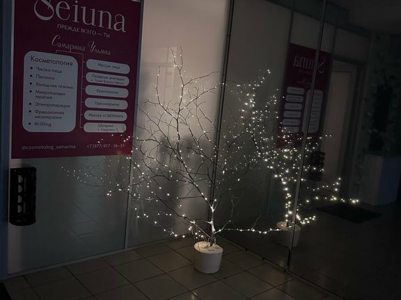 Seiuna, интерьер