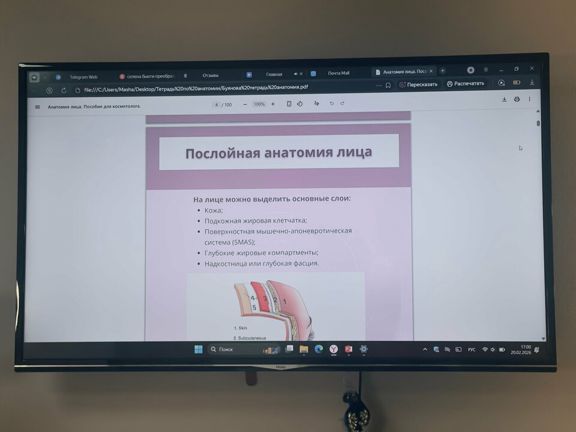 Селена Бьюти, интерьер