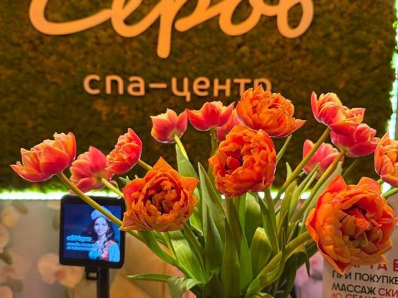 Серов СПА, интерьер