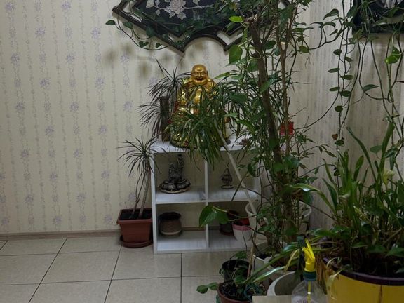 Шаолинь, интерьер