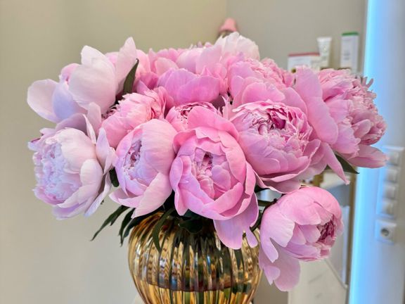 Shebeauty lounge, интерьер