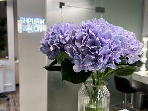 Shpurik salon, интерьер
