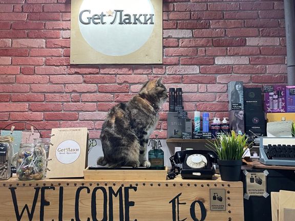 Штаб красоты Get Лаки, интерьер