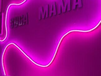 Шуга МаМа, интерьер