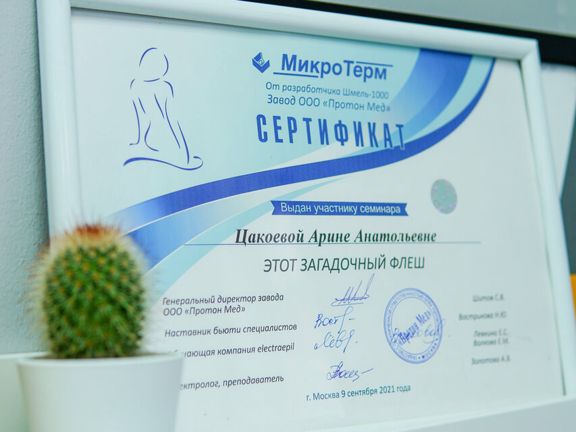 Silk Mood, интерьер