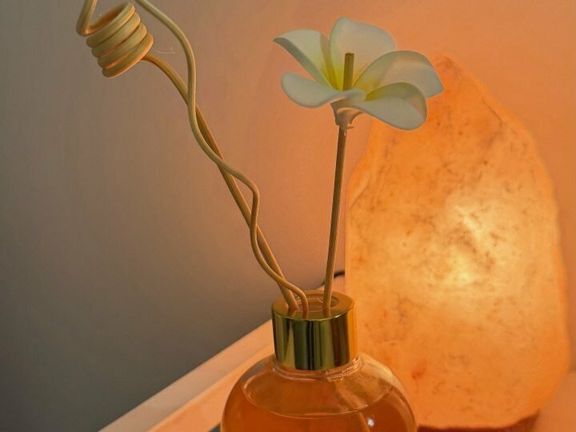 Силуэт, интерьер