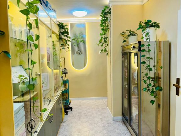 SPA Ks, интерьер