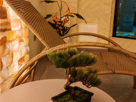 SPA nebo lounge, интерьер