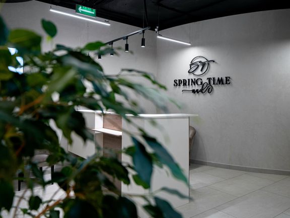 SpringTime, интерьер