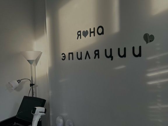 Studio 86, интерьер