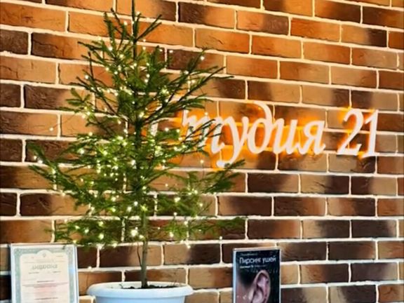 Студия 21, интерьер