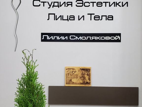 Студия эстетики лица и тела Лилии Смоляковой, интерьер