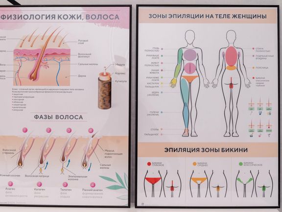 Студия лазерной эпиляции Bikini, интерьер