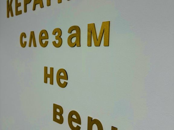 Студия реконструкции волос, интерьер