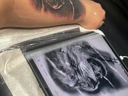 Тату-студия TattooWork, интерьер
