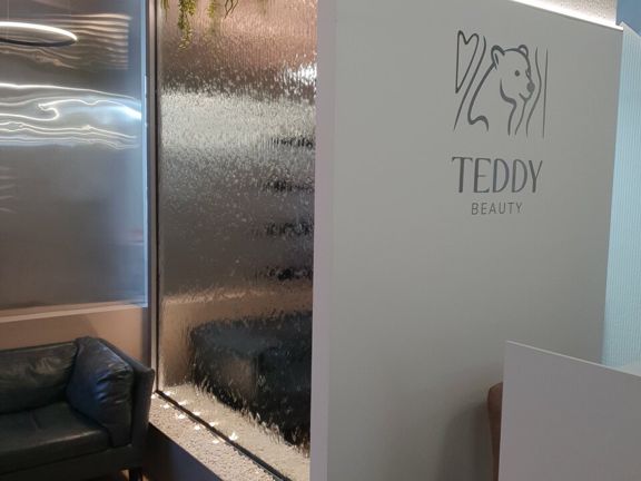 Teddy Beauty, интерьер