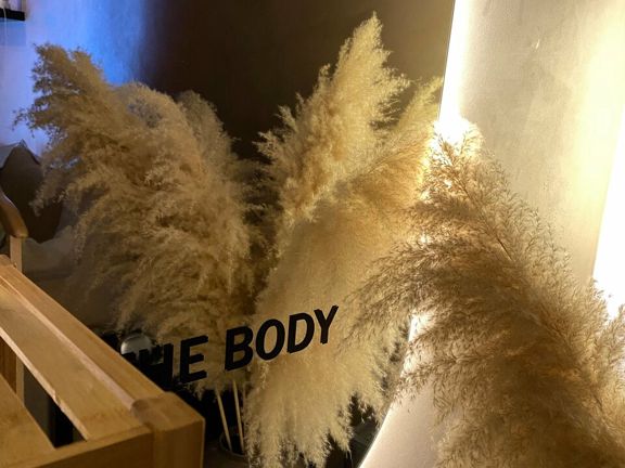The Body, интерьер