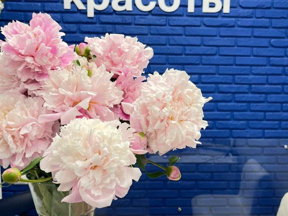 Точка Красоты, интерьер