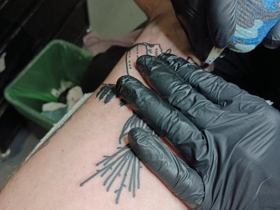 Turbo tattoo, интерьер