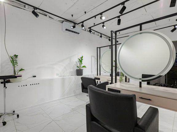 Ursatii, интерьер