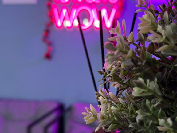 Wow Gladko studio, интерьер