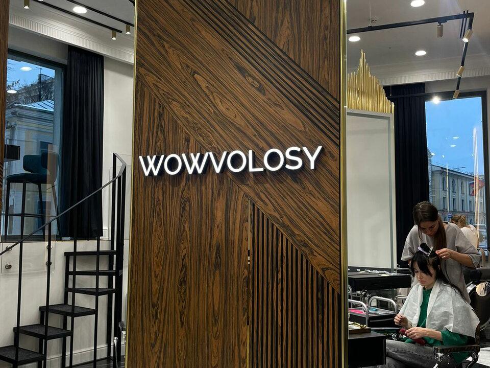 Wowvolosy mini, интерьер