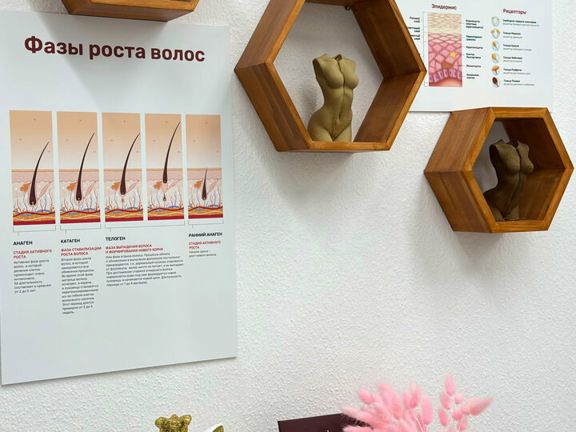 You_lazer, интерьер