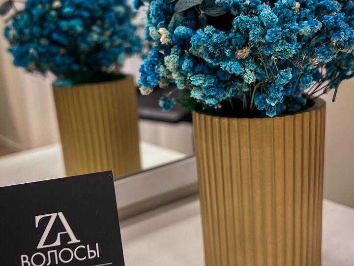 Za. Волосы, интерьер
