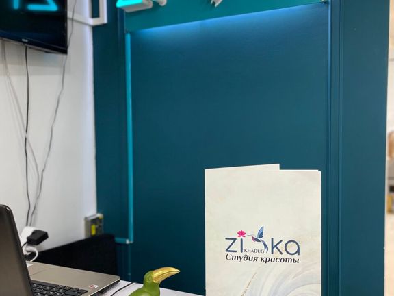 Zika, интерьер